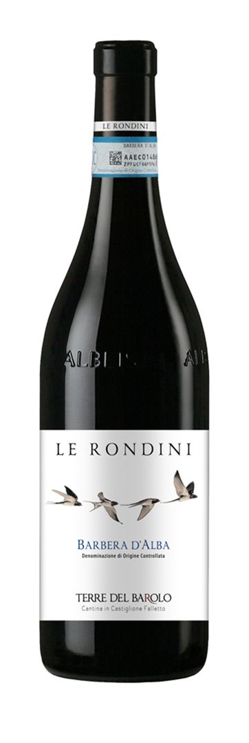 Barbera D’Alba Le Rondini DOC